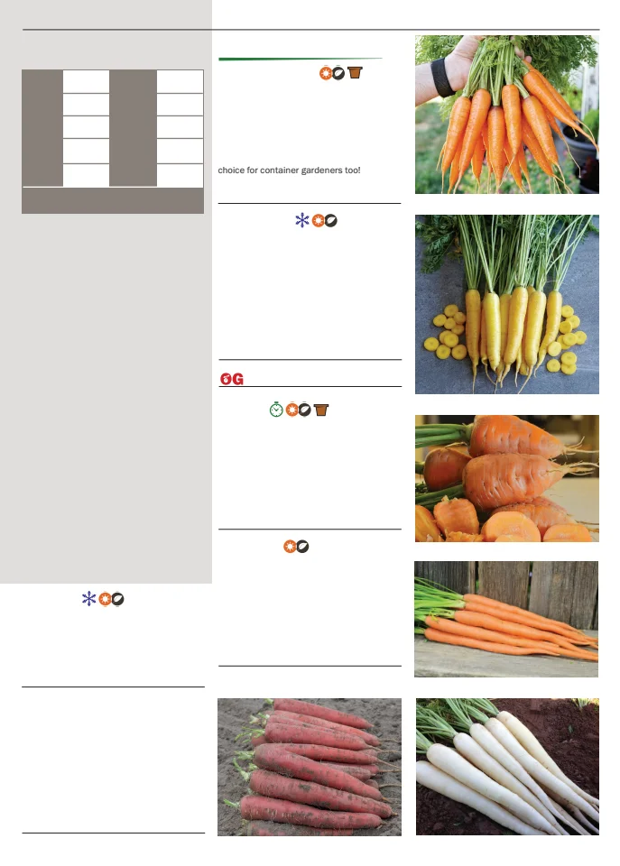 Territorial Seed Company Territorial Seed 2026 Spring Catalog - Page 23