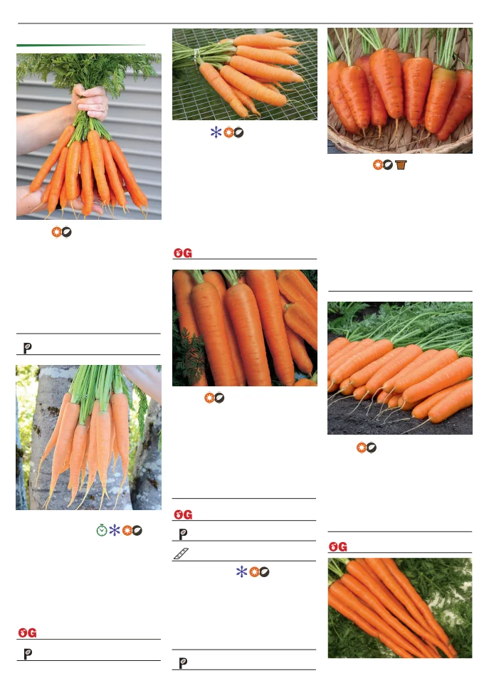 Territorial Seed Company Territorial Seed 2026 Spring Catalog - Page 25