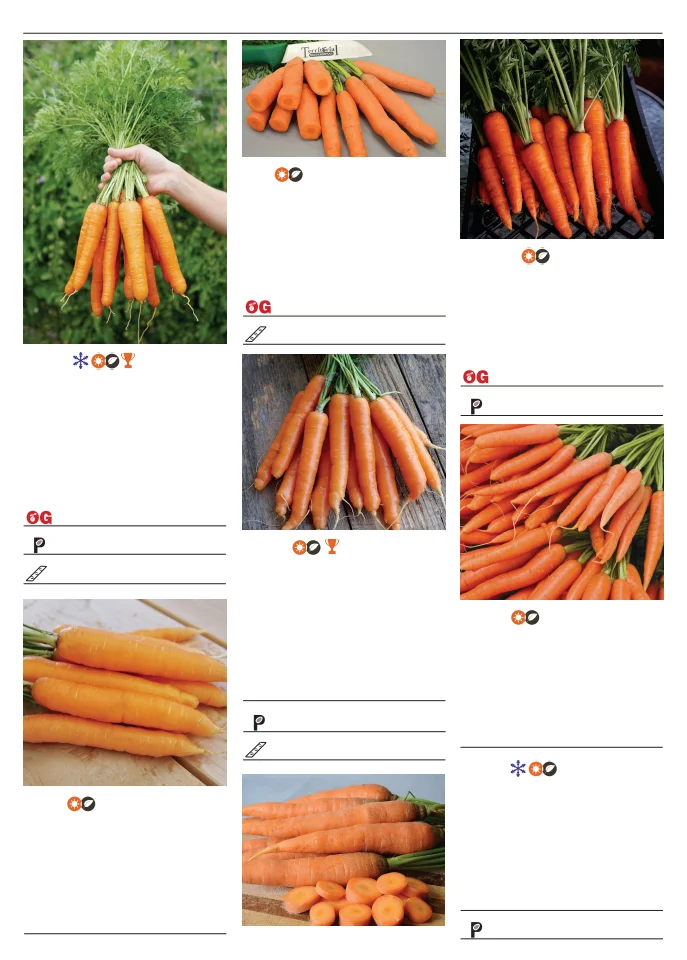 Territorial Seed Company Territorial Seed 2026 Spring Catalog - Page 26