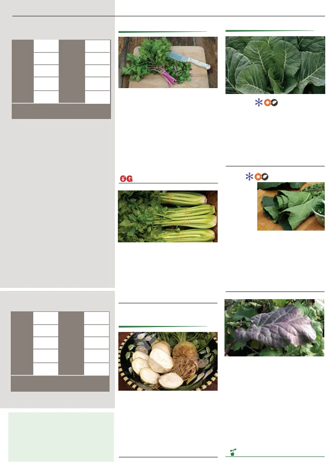 Territorial Seed Company Territorial Seed 2026 Spring Catalog - Page 27