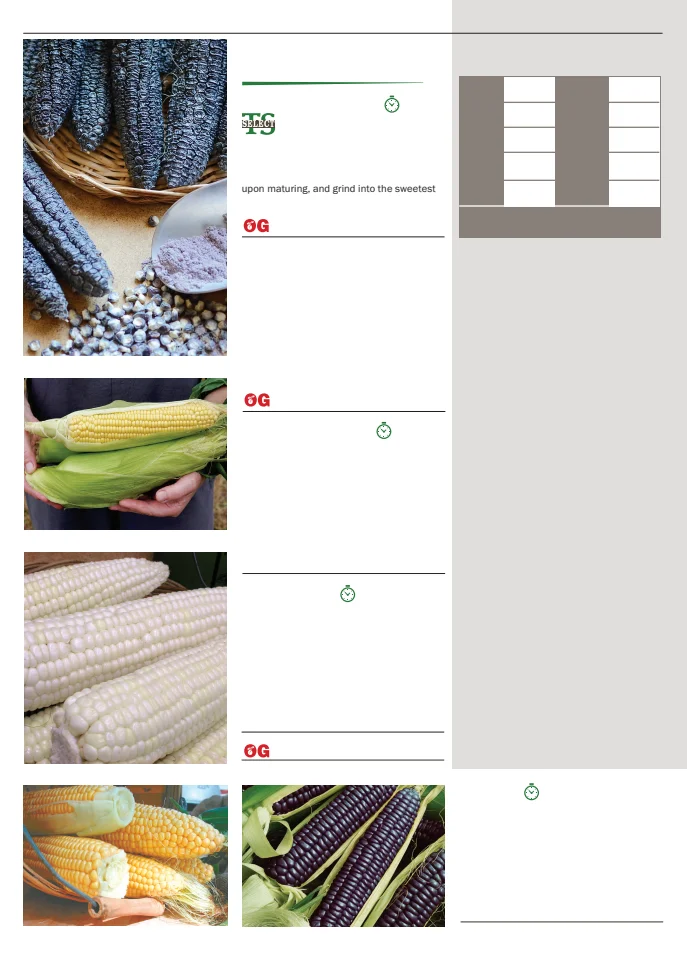 Territorial Seed Company Territorial Seed 2026 Spring Catalog - Page 28