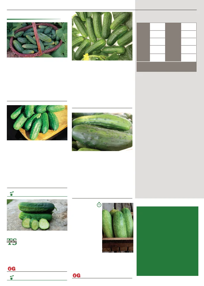 Territorial Seed Company Territorial Seed 2026 Spring Catalog - Page 32