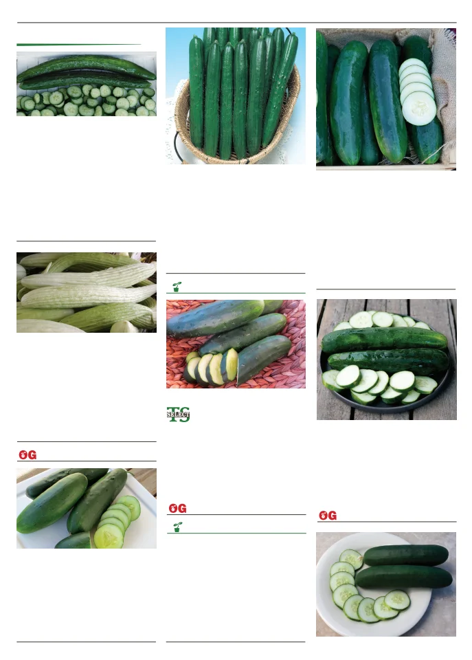 Territorial Seed Company Territorial Seed 2026 Spring Catalog - Page 33