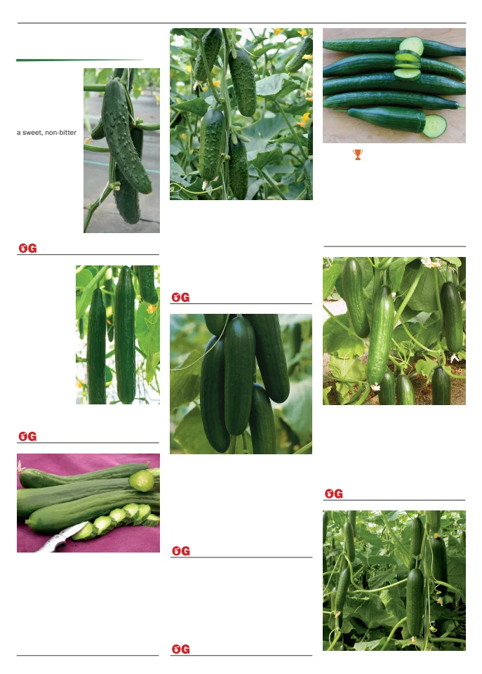 Territorial Seed Company Territorial Seed 2026 Spring Catalog - Page 35