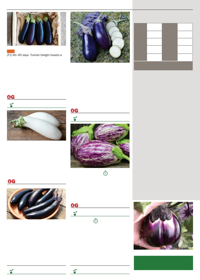 Territorial Seed Company Territorial Seed 2026 Spring Catalog - Page 36