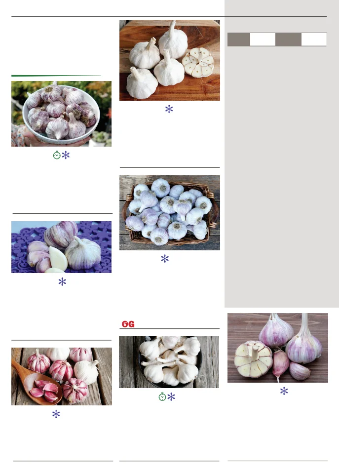Territorial Seed Company Territorial Seed 2026 Spring Catalog - Page 38