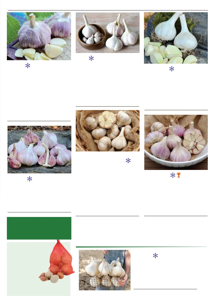 Territorial Seed Company Territorial Seed 2026 Spring Catalog - Page 39