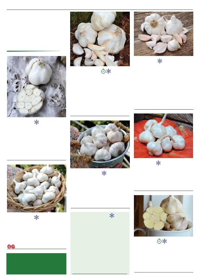 Territorial Seed Company Territorial Seed 2026 Spring Catalog - Page 40
