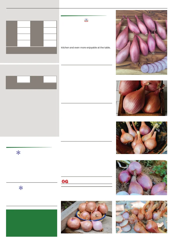 Territorial Seed Company Territorial Seed 2026 Spring Catalog - Page 41