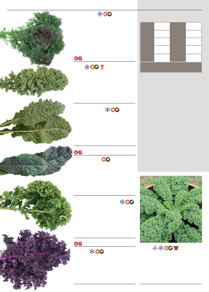Territorial Seed Company Territorial Seed 2026 Spring Catalog - Page 42