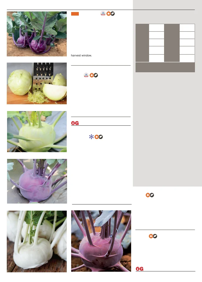 Territorial Seed Company Territorial Seed 2026 Spring Catalog - Page 44