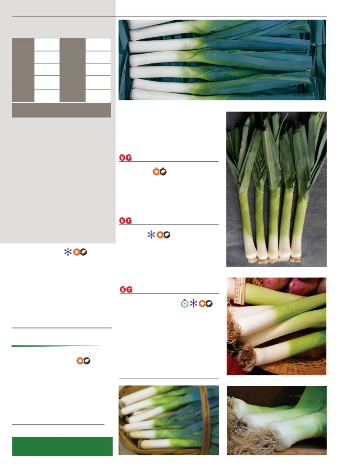 Territorial Seed Company Territorial Seed 2026 Spring Catalog - Page 45