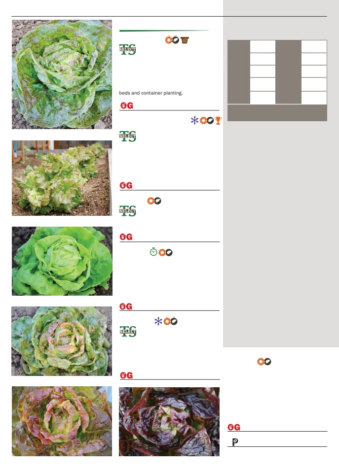 Territorial Seed Company Territorial Seed 2026 Spring Catalog - Page 46