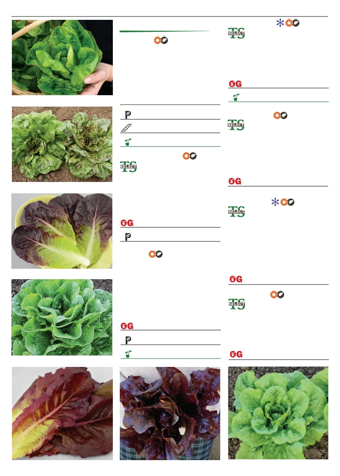 Territorial Seed Company Territorial Seed 2026 Spring Catalog - Page 48