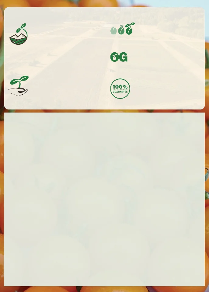 Territorial Seed Company Territorial Seed 2026 Spring Catalog - Page 5