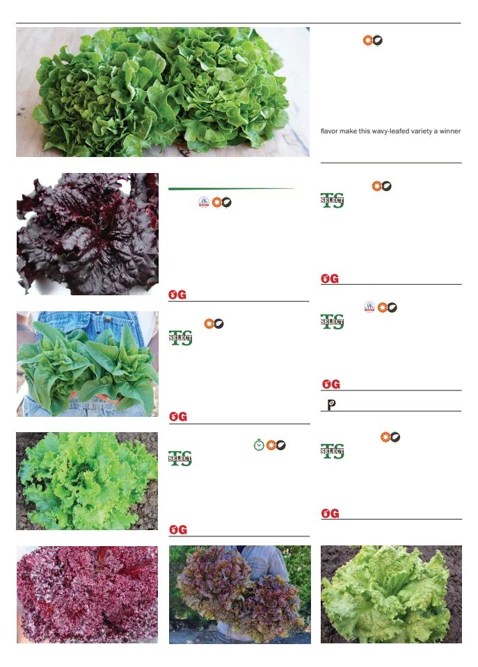 Territorial Seed Company Territorial Seed 2026 Spring Catalog - Page 50