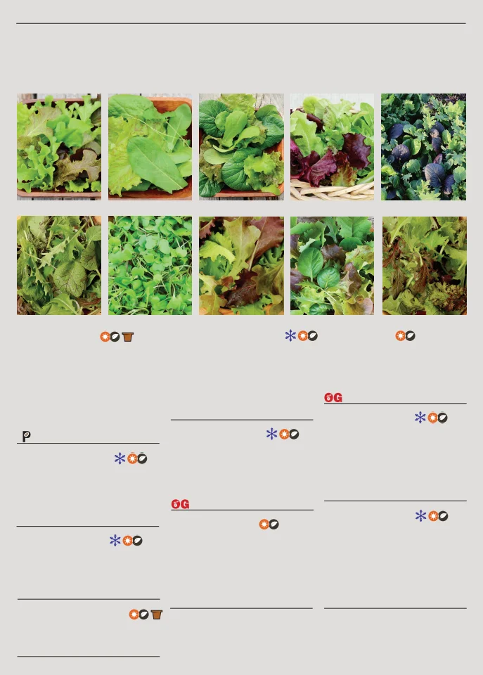 Territorial Seed Company Territorial Seed 2026 Spring Catalog - Page 52