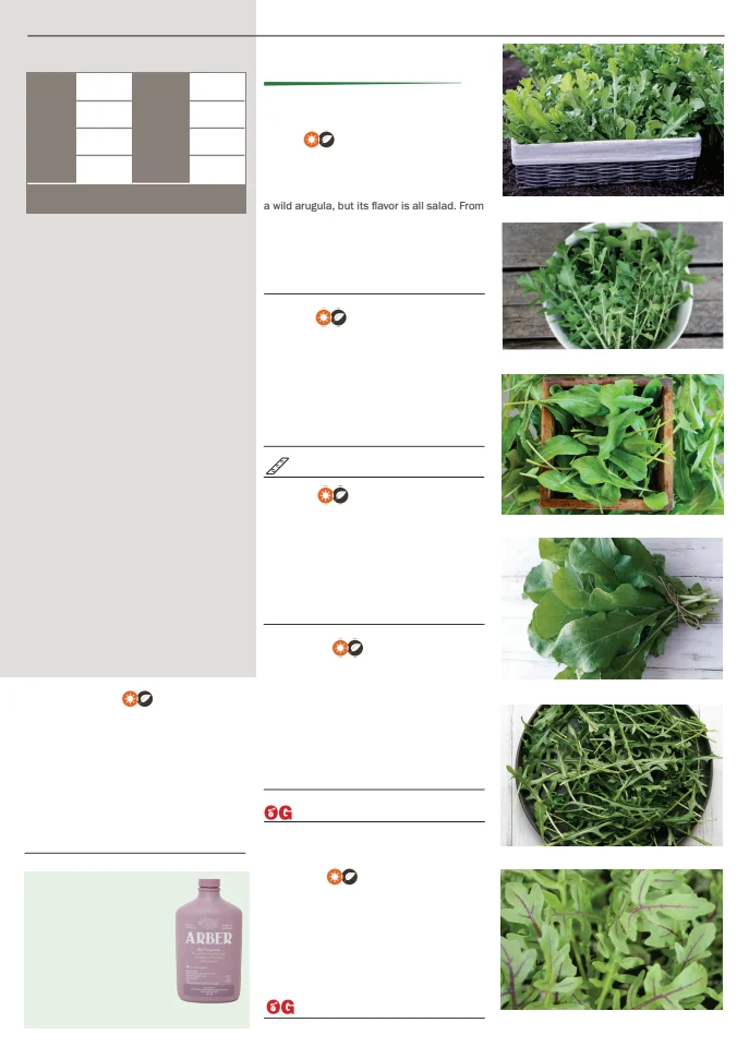 Territorial Seed Company Territorial Seed 2026 Spring Catalog - Page 53