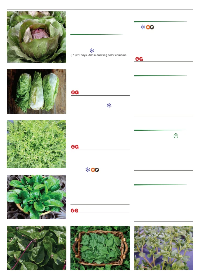 Territorial Seed Company Territorial Seed 2026 Spring Catalog - Page 54