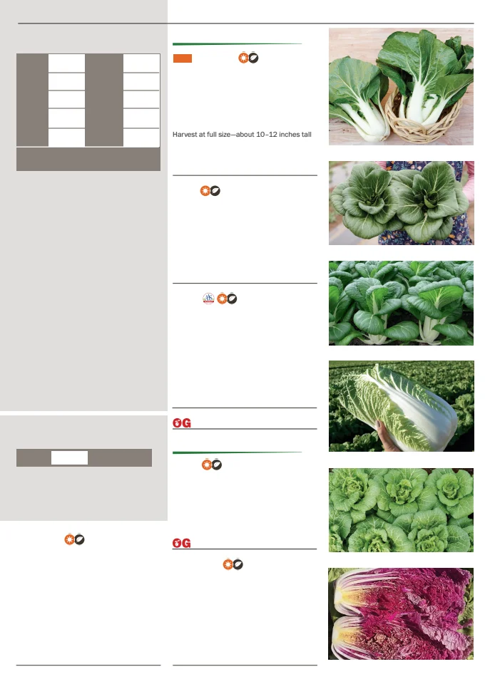 Territorial Seed Company Territorial Seed 2026 Spring Catalog - Page 57