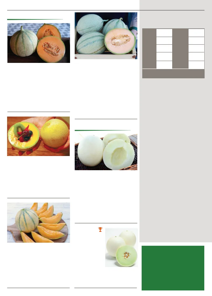 Territorial Seed Company Territorial Seed 2026 Spring Catalog - Page 58