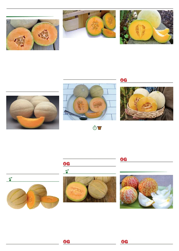 Territorial Seed Company Territorial Seed 2026 Spring Catalog - Page 59