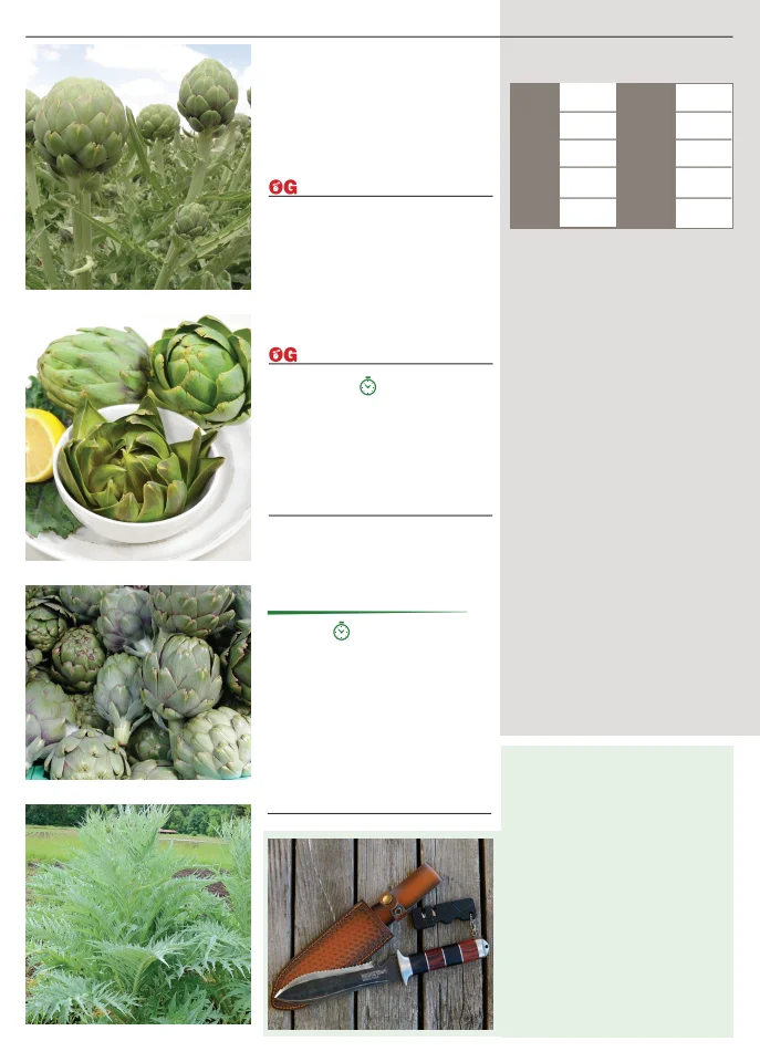 Territorial Seed Company Territorial Seed 2026 Spring Catalog - Page 6