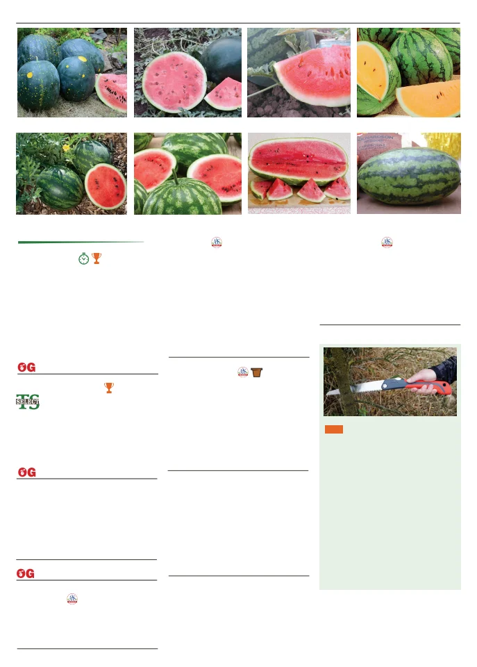 Territorial Seed Company Territorial Seed 2026 Spring Catalog - Page 60
