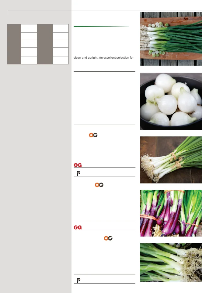 Territorial Seed Company Territorial Seed 2026 Spring Catalog - Page 63