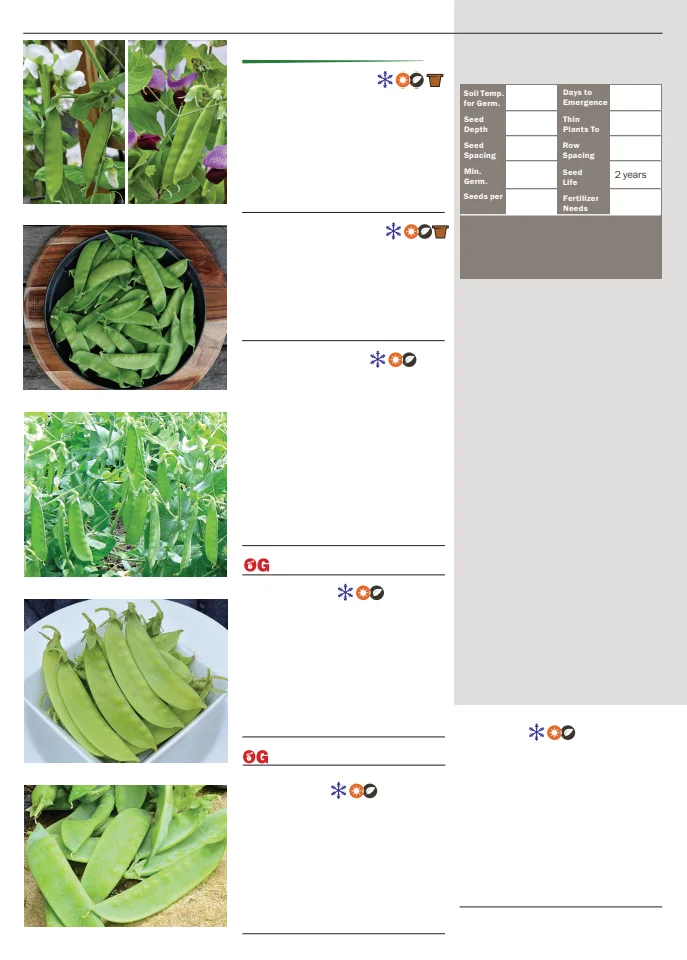 Territorial Seed Company Territorial Seed 2026 Spring Catalog - Page 68