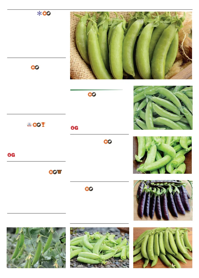Territorial Seed Company Territorial Seed 2026 Spring Catalog - Page 69