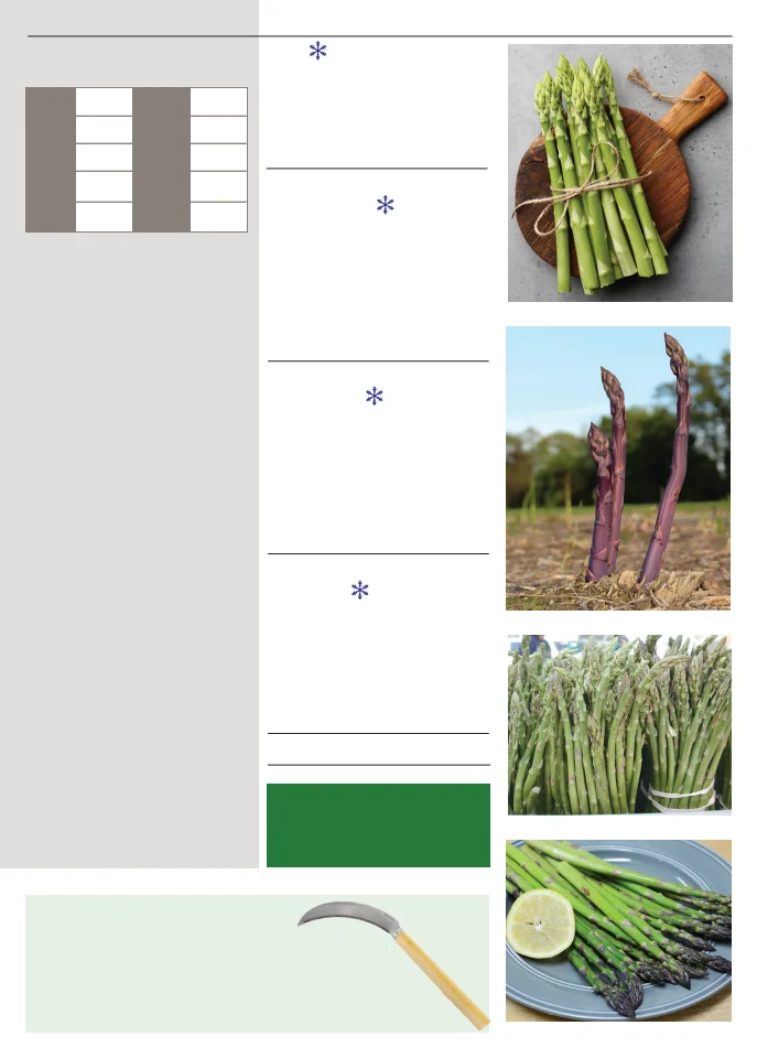 Territorial Seed Company Territorial Seed 2026 Spring Catalog - Page 7