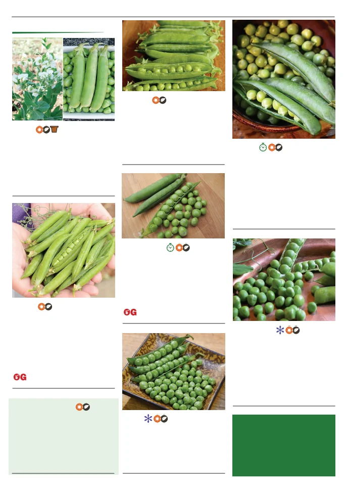 Territorial Seed Company Territorial Seed 2026 Spring Catalog - Page 70