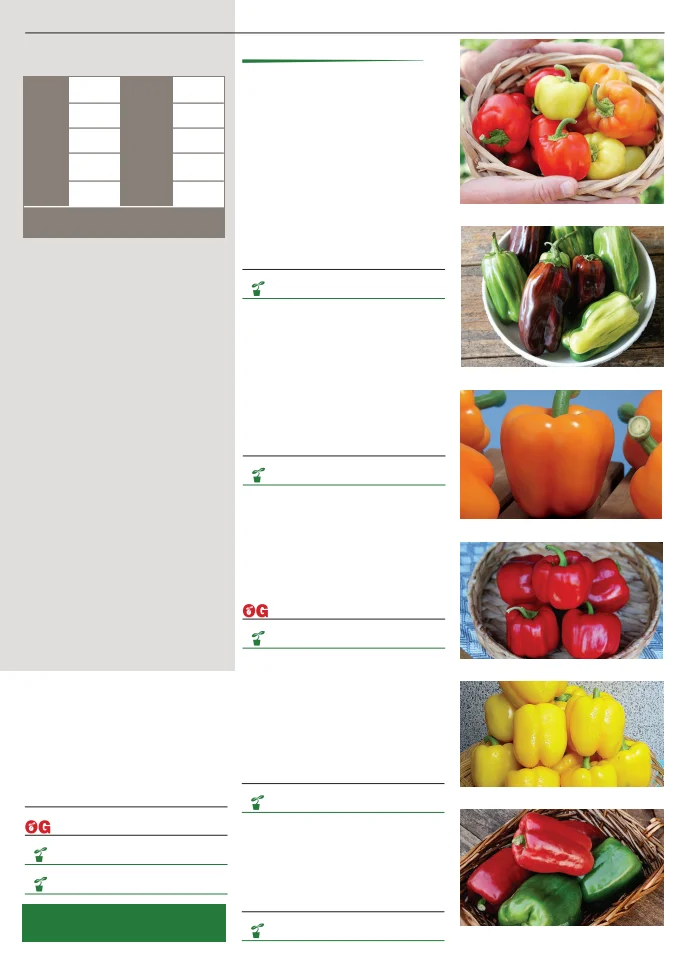 Territorial Seed Company Territorial Seed 2026 Spring Catalog - Page 71