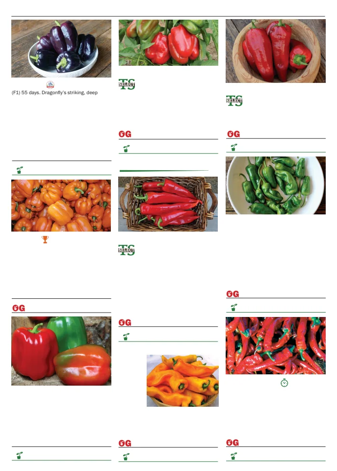 Territorial Seed Company Territorial Seed 2026 Spring Catalog - Page 72