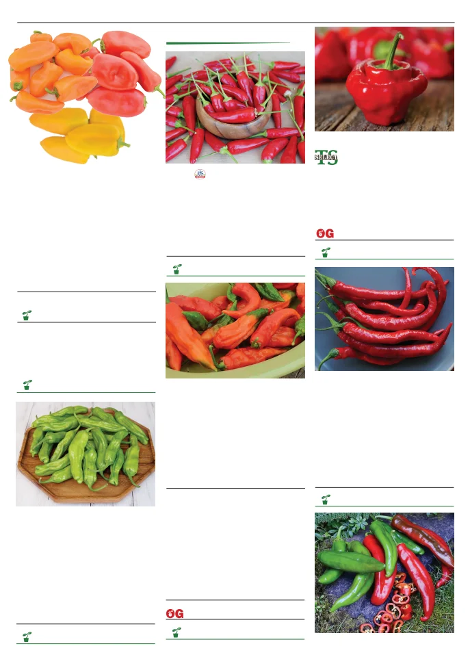 Territorial Seed Company Territorial Seed 2026 Spring Catalog - Page 73