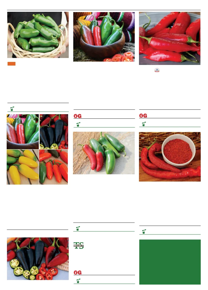 Territorial Seed Company Territorial Seed 2026 Spring Catalog - Page 74