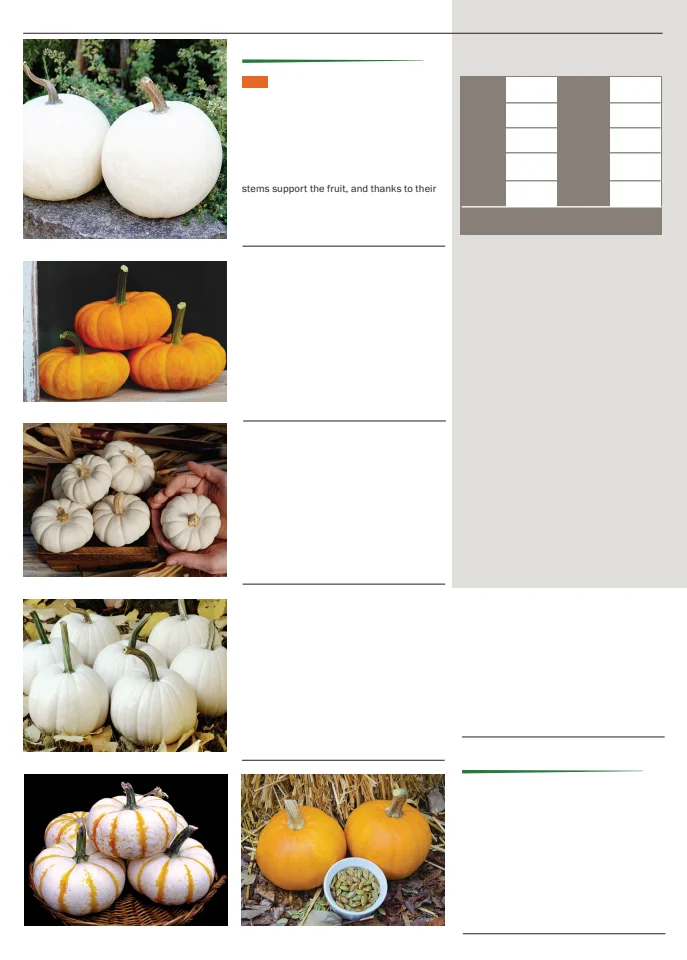 Territorial Seed Company Territorial Seed 2026 Spring Catalog - Page 76