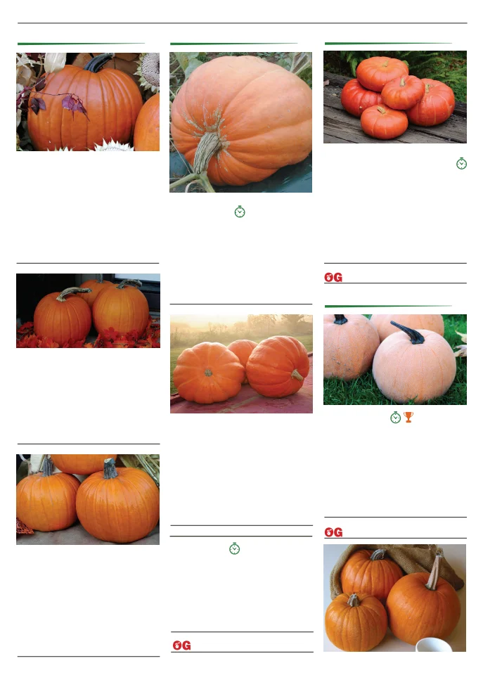 Territorial Seed Company Territorial Seed 2026 Spring Catalog - Page 77