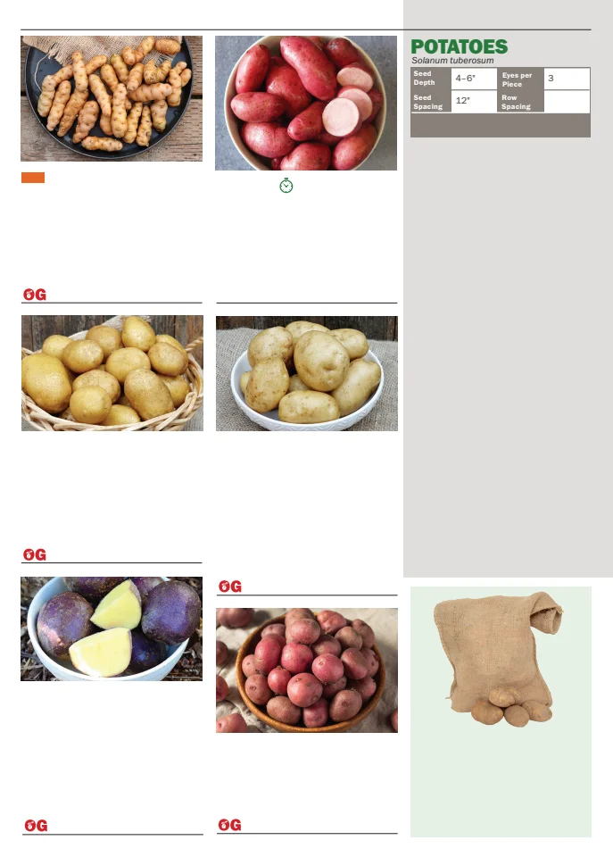 Territorial Seed Company Territorial Seed 2026 Spring Catalog - Page 78
