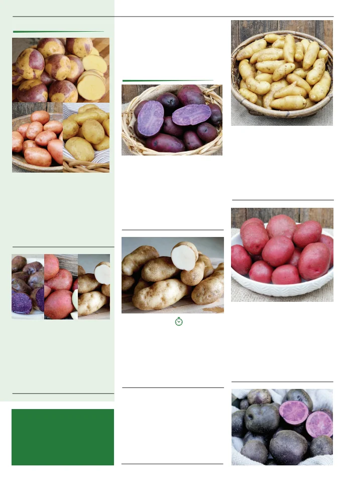 Territorial Seed Company Territorial Seed 2026 Spring Catalog - Page 79