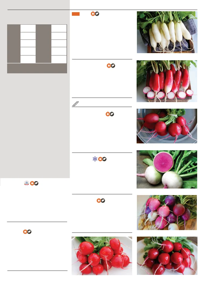 Territorial Seed Company Territorial Seed 2026 Spring Catalog - Page 81