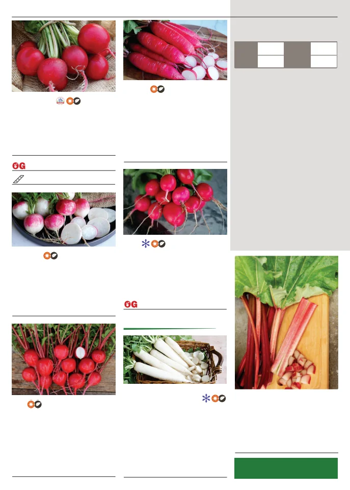 Territorial Seed Company Territorial Seed 2026 Spring Catalog - Page 82