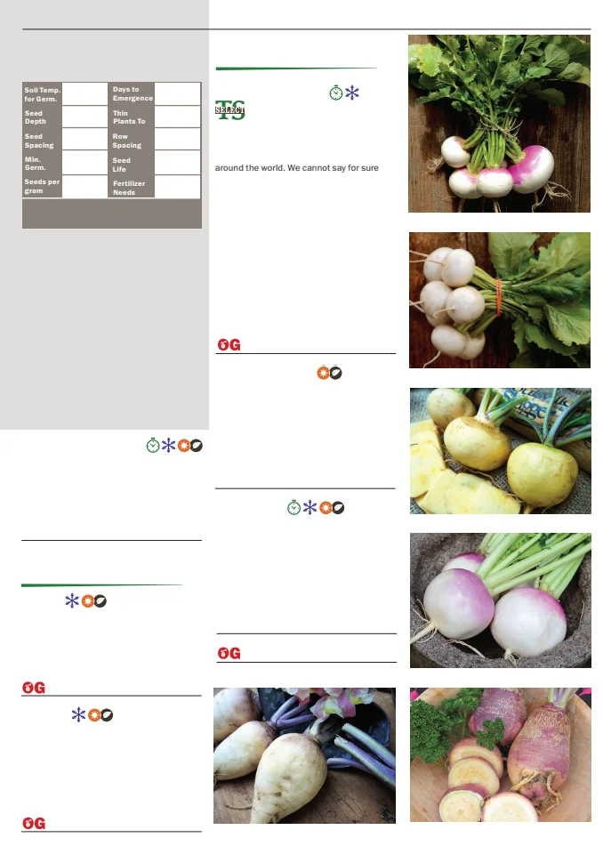 Territorial Seed Company Territorial Seed 2026 Spring Catalog - Page 83