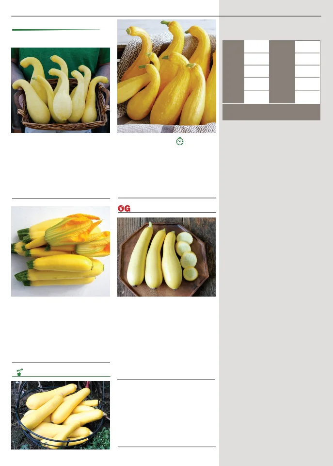 Territorial Seed Company Territorial Seed 2026 Spring Catalog - Page 84