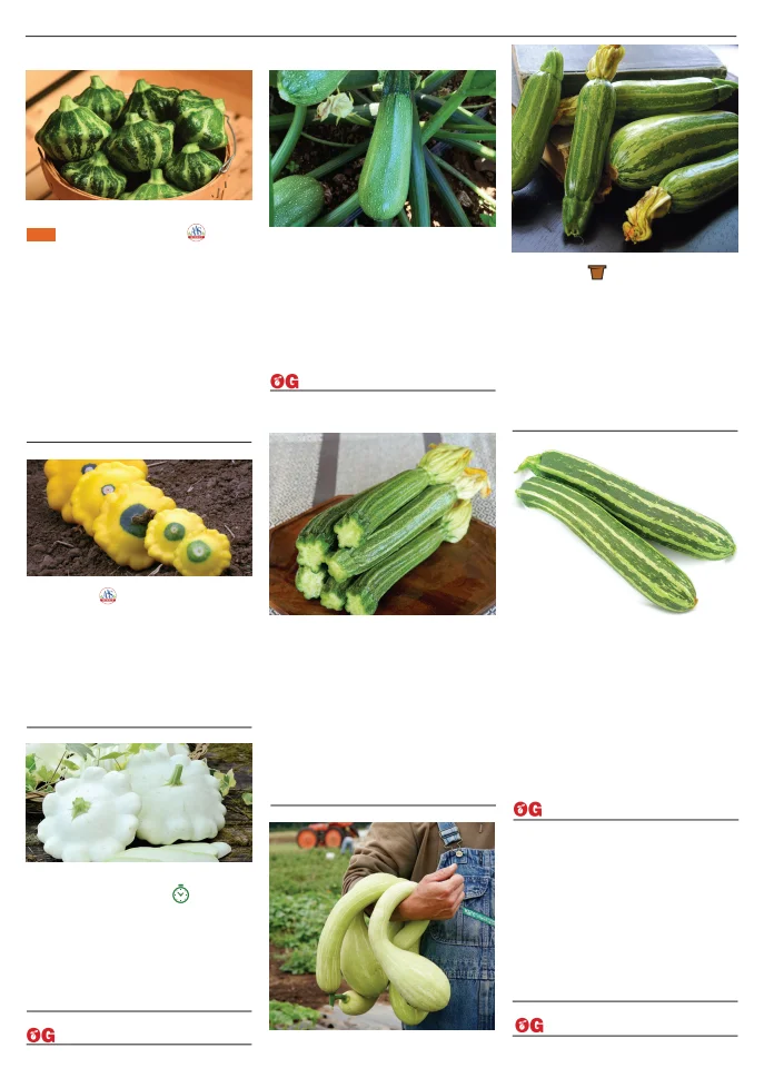 Territorial Seed Company Territorial Seed 2026 Spring Catalog - Page 86