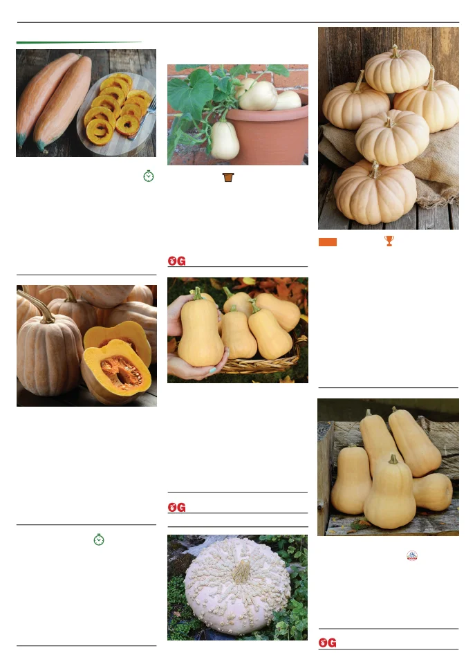 Territorial Seed Company Territorial Seed 2026 Spring Catalog - Page 87