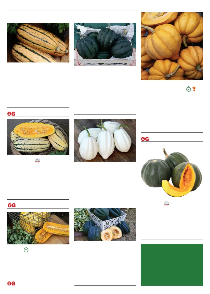 Territorial Seed Company Territorial Seed 2026 Spring Catalog - Page 88