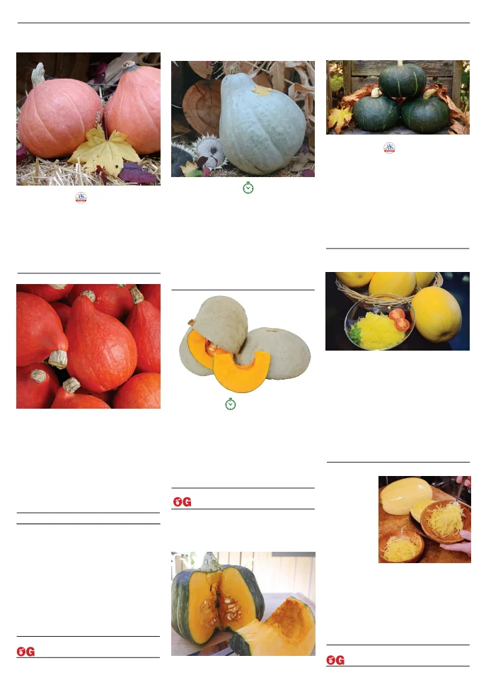 Territorial Seed Company Territorial Seed 2026 Spring Catalog - Page 89