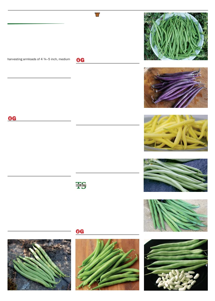 Territorial Seed Company Territorial Seed 2026 Spring Catalog - Page 9